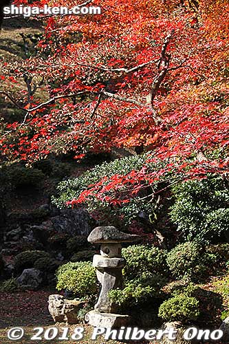 Kiyotaki Tokugen-in Temple's garden in autumn.
Keywords: shiga maibara kashiwabara kiyotaki tokugenin temple fall foliage autumn leaves garden