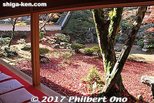 Kiyotaki Tokugen-in Temple's garden in autumn.
Keywords: shiga maibara kashiwabara kiyotaki tokugenin temple fall foliage autumn leaves garden