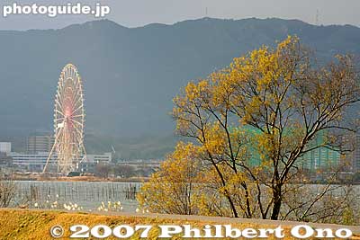 Other side of the lake as seen from Moriyama. The giant and rusting ferris wheel is at the defunct Biwako Tower amusement park.
Keywords: shiga moriyama lake biwa 