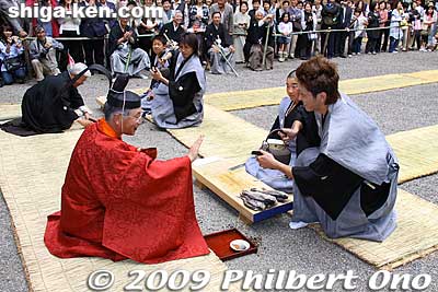 The shrne priest refuses another round of sake.
Keywords: shiga moriyama shimoniikawa jinja shrine sushikiri matsuri festival sushi-kiri 