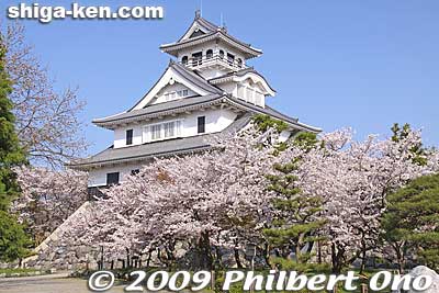 Nagahama Castle, Shiga
Keywords: shiga nagahama japancastle tower donjon history museum cherry blosssoms sakura spring flowers shigabestsakura