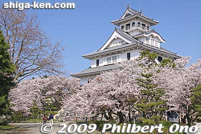Keywords: shiga nagahama castle tower donjon history museum cherry blosssoms sakura spring flowers