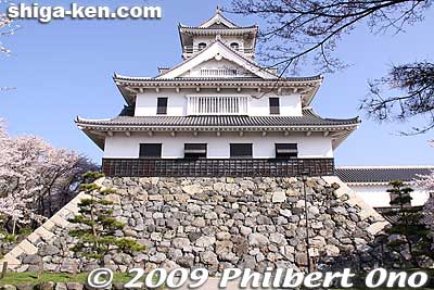 Side view of Nagahama Castle
Keywords: shiga nagahama castle tower donjon cherry blosssoms sakura spring flowers