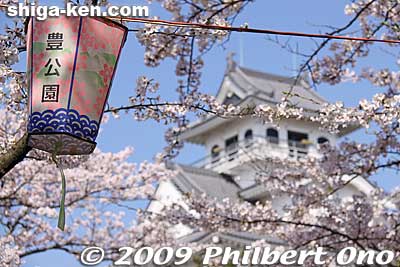 Keywords: shiga nagahama castle tower donjon cherry blosssoms sakura spring flowers
