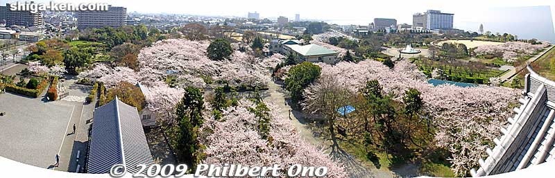 Panorama from the top of Nagahama Castle, looking south.
Keywords: shiga nagahama castle tower donjon cherry blossoms sakura flowers 