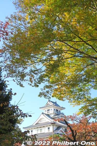Keywords: shiga nagahama castle hokoen park autumn leaves foliage