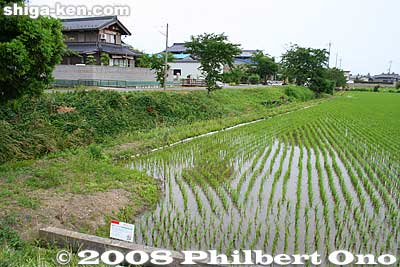 What used to be a lake is a rice paddy. Imagine this to be a lake, with an embankment in front of these homes.
Keywords: shiga nagahama hayasaki hayazaki naiko attached lake biotope rice paddy