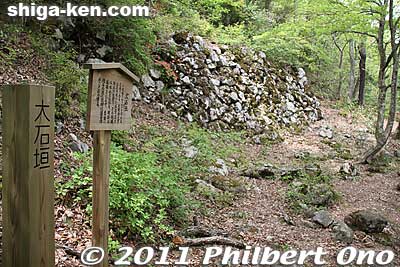 Large Stone Wall at Odani Castle. The original stone wall supported the Sannomaru bailey. 大石垣
Keywords: shiga nagahama odani castle 