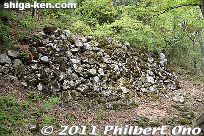 What's left of the large stone wall. It was 5 meters tall and the largest stone wall at Odani Castle, even larger than the Honmaru's stone wall.
Keywords: shiga nagahama odani castle shigabesthist