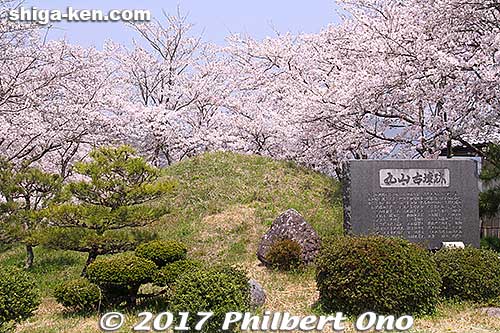 Maruyama Tumulus 丸山古墳
Keywords: shiga nagahama Torahime Toragozen sakura cherry blossoms flowers