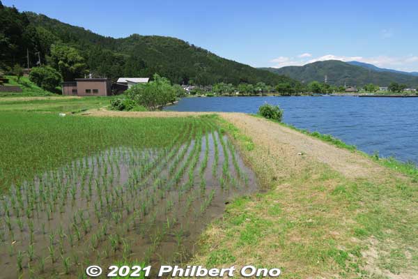 More rice paddies along Lake Yogo.
Keywords: shiga nagahama lake yogo