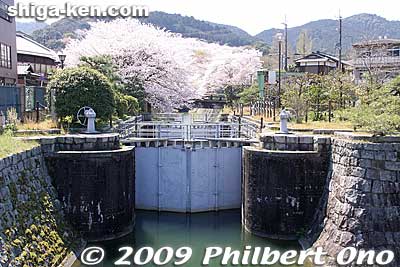 Keywords: shiga prefecture otsu biwako sosui canal lake biwa cherry blossoms sakura 