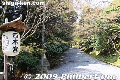 Entering Nishi Hongu Shrine.
Keywords: shiga otsu shinto hiyoshi taisha shrine 
