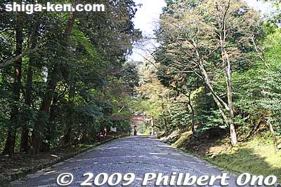 Approaching Sanno Torii
Keywords: shiga otsu shinto hiyoshi taisha shrine 