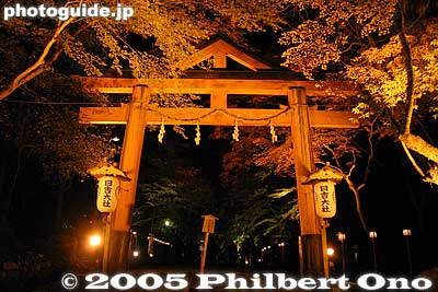 Sanno Torii lit up in autumn at night in Nov. 山王鳥居
Keywords: shiga otsu shinto hiyoshi taisha shrine torii