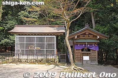 Sacred Monkey cage on left and Sacred Horse on the right (dummy horse).
Keywords: shiga otsu shinto hiyoshi taisha shrine 