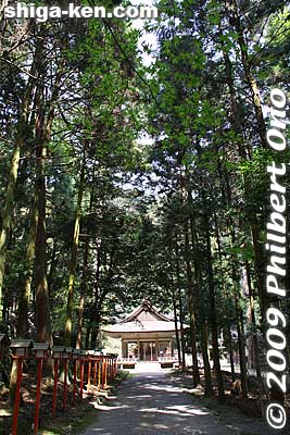 Keywords: shiga otsu shinto hiyoshi taisha shrine 
