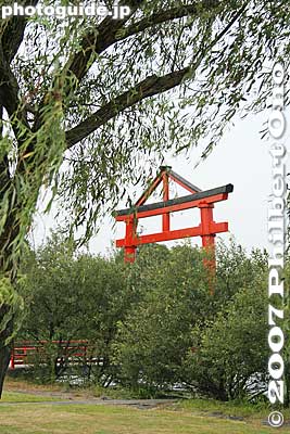 Also see [url=http://photoguide.jp/pix/thumbnails.php?album=11]my photos of the Sanno-sai Festival,[/url] Hiyoshi Taisha's biggest festival.
Keywords: shiga otsu shinto hiyoshi taisha shrine torii lake biwa 