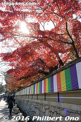 Path to Ishiyama-dera in autumn.
Keywords: shiga otsu ishiyama-dera temple