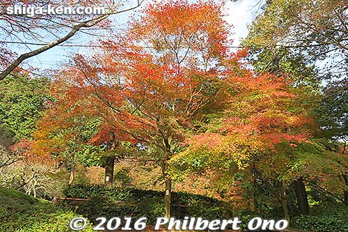 Keywords: shiga otsu ishiyama-dera buddhist temple foliage autumn
