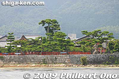 The famous Karasaki pine tree as seen from Lake Biwa.
Keywords: shiga prefecture otsu karasaki pine tree omi hakkei shigabestviews