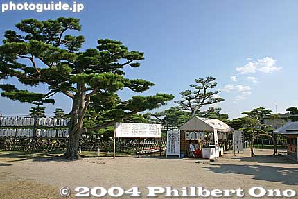 Karasaki Shrine has numerous pine trees, including the famous century-old pine tree.
Keywords: shiga prefecture otsu karasaki pine tree omi hakkei shigabestviews