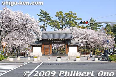 Gate to Zeze Castle Park with cherry blossoms in full bloom in April. 膳所城跡公園 [url=http://goo.gl/maps/Dthk7]MAP[/url]
Keywords: shiga otsu lakefront zeze castle cherry blossoms sakura