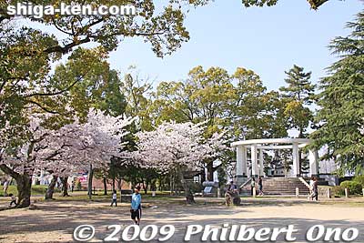The first Zeze Castle lord was Toda Kazuaki who moved from Otsu Castle. The Zeze-han domain was thereby established. The castle was abolished in 1870. 戸田 一西.
Keywords: shiga otsu lakefront zeze castle cherry blossoms sakura 