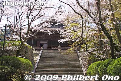 Steps going up to the Kondo Hall.
Keywords: shiga otsu miidera onjoji temple tendai buddhist sect cherry blossoms sakura 