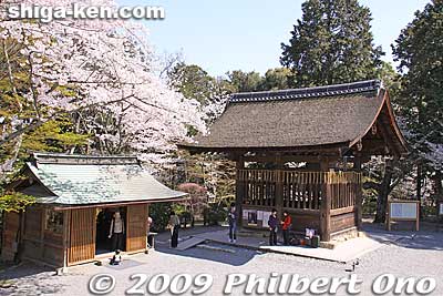 Mii Bell Pavilion (Mii-no-Bansho) on the right. The small building on the left is a gift shop where you buy a ticket to ring the bell.
Keywords: shiga otsu miidera onjoji temple tendai buddhist sect cherry blossoms sakura 