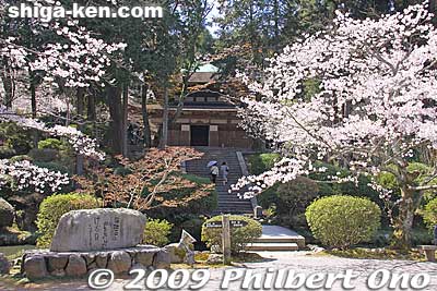 Steps going to Issaikyo-zo Hall.
Keywords: shiga otsu miidera onjoji temple tendai buddhist sect cherry blossoms sakura 