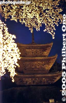 Cherry blossoms and three-story pagoda at night.
Keywords: shiga otsu miidera onjoji temple tendai buddhist sect
