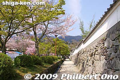 Stone temple wall in Sakamoto, Otsu.
Keywords: shiga otsu sakamoto cherry blossoms flowers sakura 