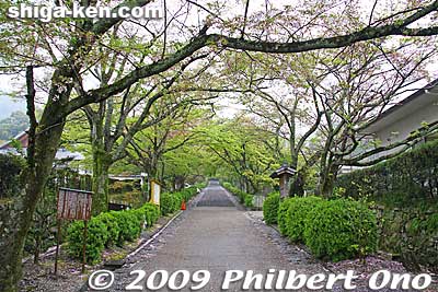 Path going to Saikyoji temple's Hondo hall. This would be pretty during cherry blossom season.
Keywords: shiga otsu sakamoto saikyoji temple 