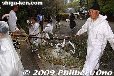 Returning the large sakaki branch from Tenson Shrine. 大榊還御
Keywords: shiga otsu sanno-sai matsuri festival 