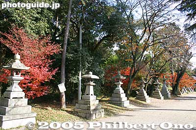 Path to shrine
Keywords: shiga prefecture ritto shrine