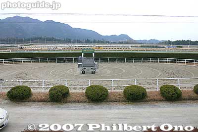 Practice track
Keywords: shiga ritto jra training center horse race racing thoroughbred