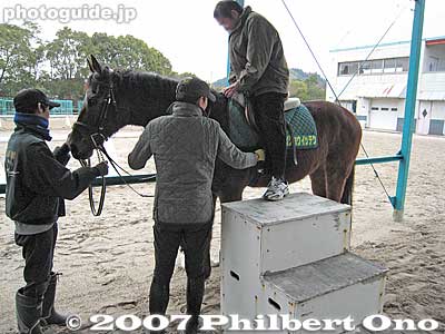 Horse ride.
Keywords: shiga ritto jra training center horse race racing thoroughbred
