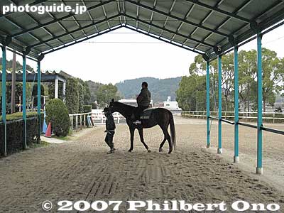 Horse ride with a guide guiding the horse.
Keywords: shiga ritto jra training center horse race racing thoroughbred
