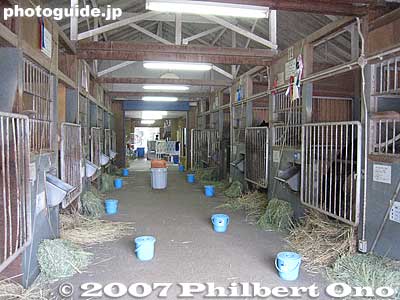 Horse stables.
Keywords: shiga ritto jra training center horse race racing thoroughbred