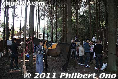 Meanwhile, a bunch of horses standby in the trees.
Keywords: shiga ryuo-cho ryuou namura shrine jinja Sekku Matsuri festival yabusame horseback archery