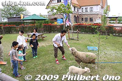 You can buy a bunch of carrots to feed the sheep. You have to go through the museum to get here. 動物ふれあい広場
Keywords: shiga ryuo-cho 