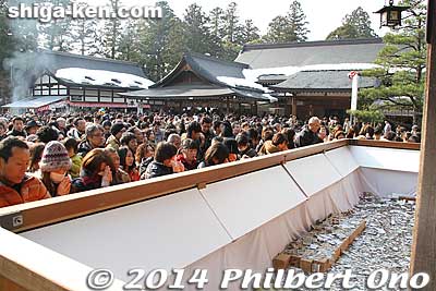 Hope all or most of their hopes and prayers will come true this new year.
Keywords: shiga taga taisha shrine new year hatsumode