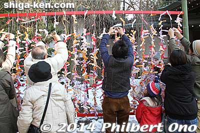 Keywords: shiga taga taisha shrine new year hatsumode