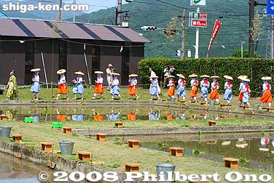 The 70 rice planters are junior high school girls in colorful costumes. They are called Taume. 田植女
Keywords: shiga taga-cho taga taisha shrine shinto festival matsuri rice seedlings paddy paddies planting shigabestmatsuri