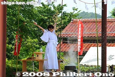 She flings the branches backward over her head, creating a spray of hot water. She did this a few times. Also see my [url=http://www.youtube.com/watch?v=mbZbS9dYZmI]YouTube video here.[/url]
Keywords: shiga taga-cho taga taisha shrine shinto festival matsuri rice seedlings paddy paddies planting