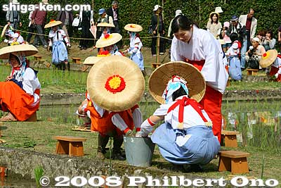 Washing their hands in a bucket of water.
Keywords: shiga taga-cho taga taisha shrine shinto festival matsuri rice seedlings paddy paddies planting