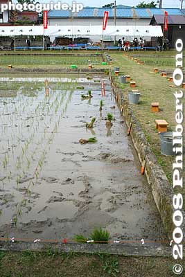 Unfinished work.
Keywords: shiga taga-cho taga taisha shrine shinto festival matsuri rice seedlings paddy paddies planting