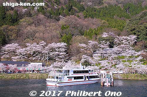 During cherry blossom season, boats often come and go at Kaizu-Osaki Port.
Keywords: shiga takashima kaizu-osaki cherry blossom cruise boat sakura shigabestsakura