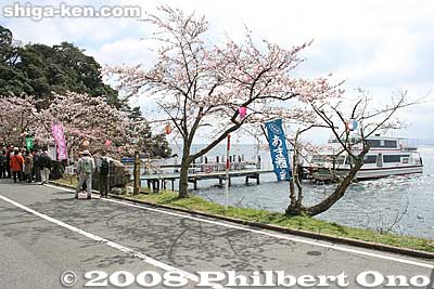 Kaizu-Osaki Port. Boat cruises along the Kaizu-Osaki coast are offered during the cherry blossom season.
Keywords: shiga takashima makino-cho kaizu-osaki cherry blossoms sakura flowers lake biwa boatcruises